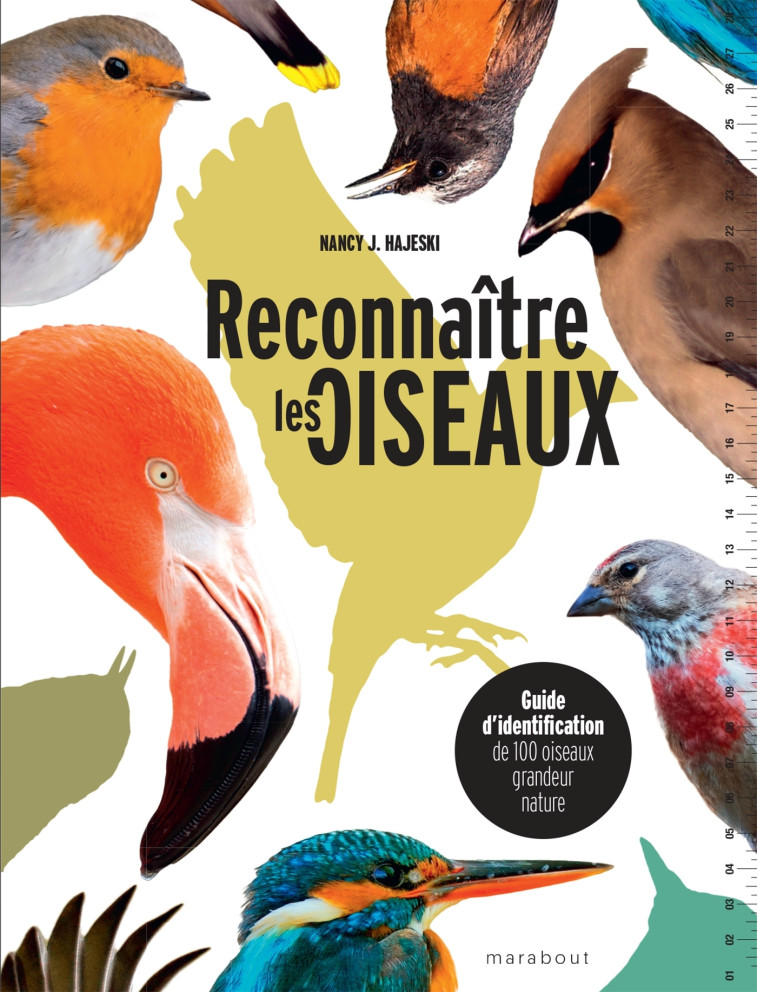 Reconnaître les oiseaux - Hajeski Nancy J. - MARABOUT