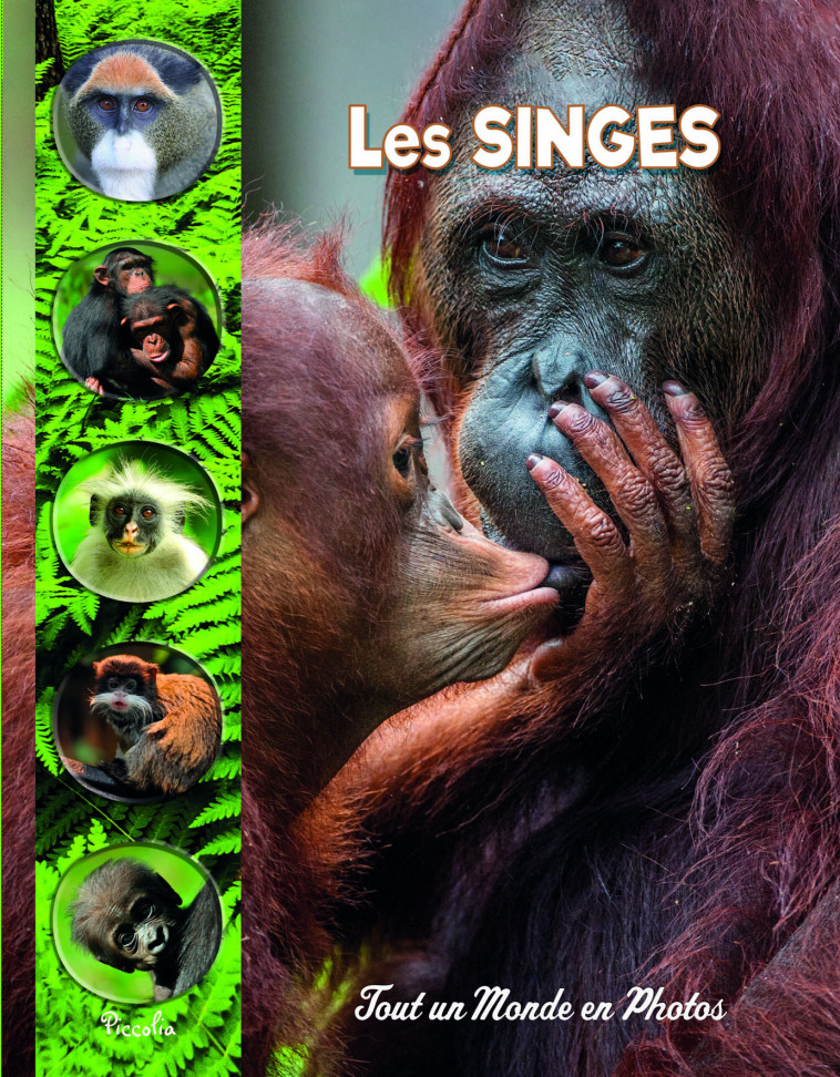 Les singes - Collectif  - PICCOLIA