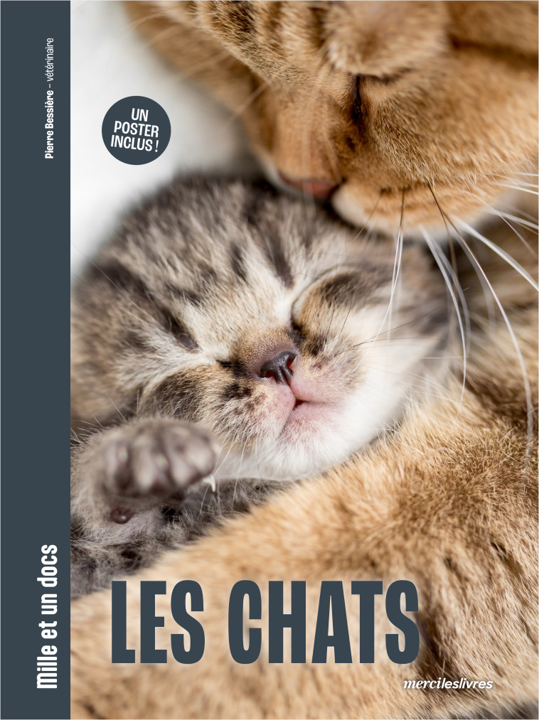 Les Chats - Mille et un docs - Bessiere Pierre - MERCILESLIVRES