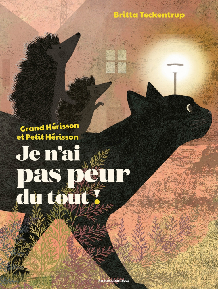 Je n'ai pas peur du tout ! - Teckentrup Britta - BAYARD JEUNESSE