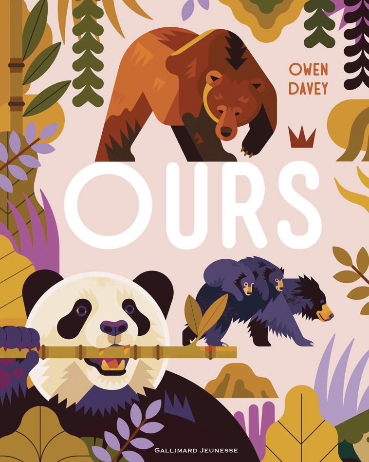 Ours - OWEN DAVEY , Davey Owen - GALLIMARD JEUNE