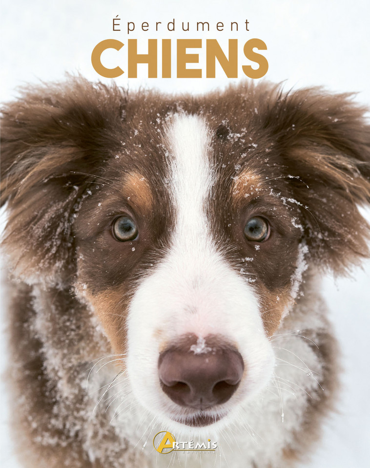 EPERDUMENT CHIENS - Jackson tom , Jackson Tom, Collectif , HORS COLL  - ARTEMIS