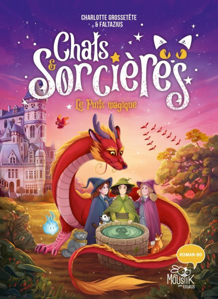 Chats & sorcières - Le puits magique - Charlotte GROSSETETE, Faltazius Faltazius,  Faltazius - FLEURUS