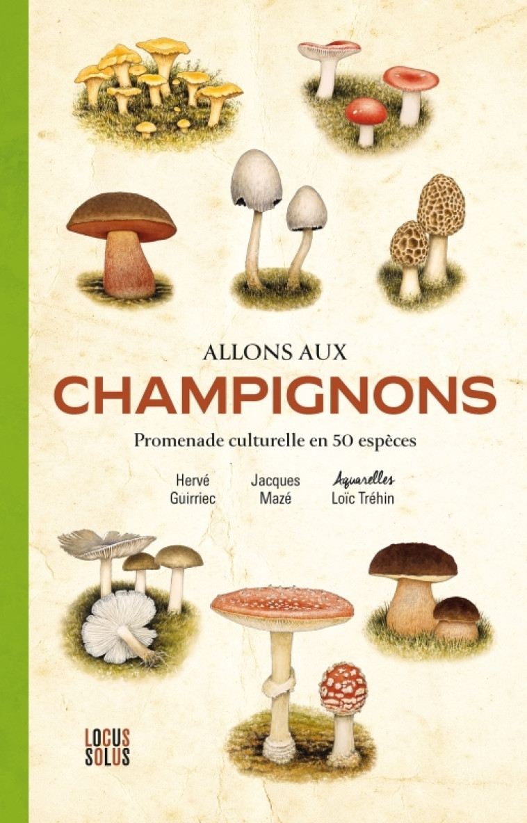 Allons aux champignons. Promenade culturelle en 50 espèces - Hervé Guirriec, Jacques Mazé, Loïc TRÉHIN - LOCUS SOLUS