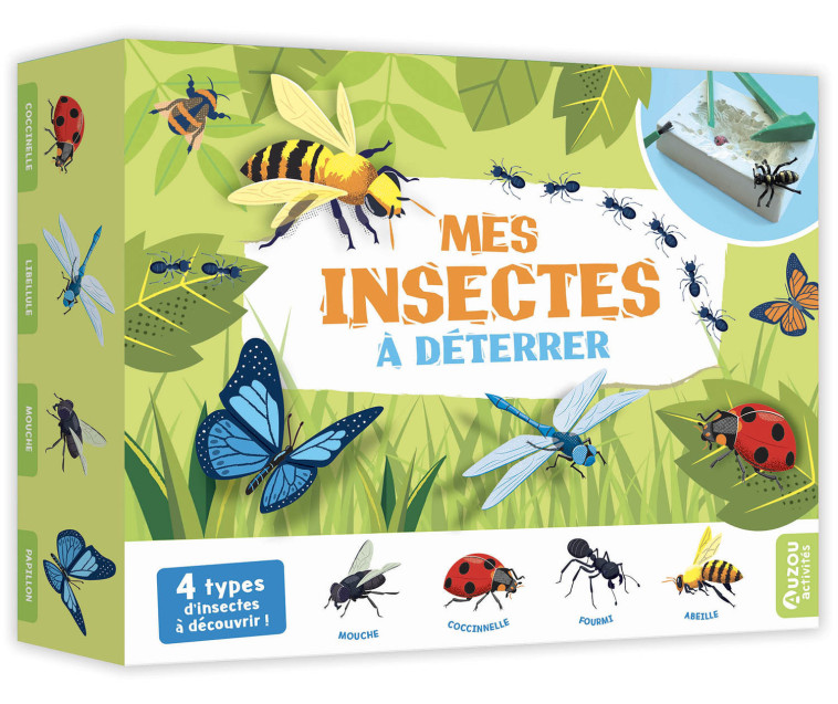 MES INSECTES À DÉTERRER - Diego Vaisberg - AUZOU