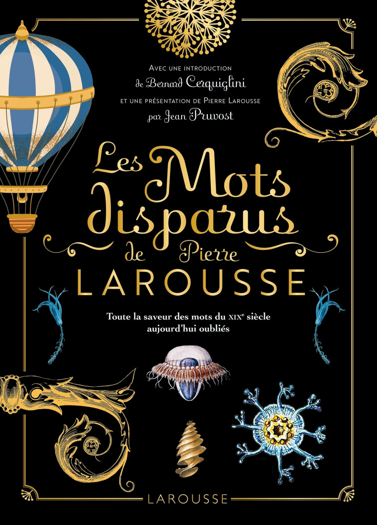 Les mots disparus de Pierre Larousse -  Collectif - LAROUSSE