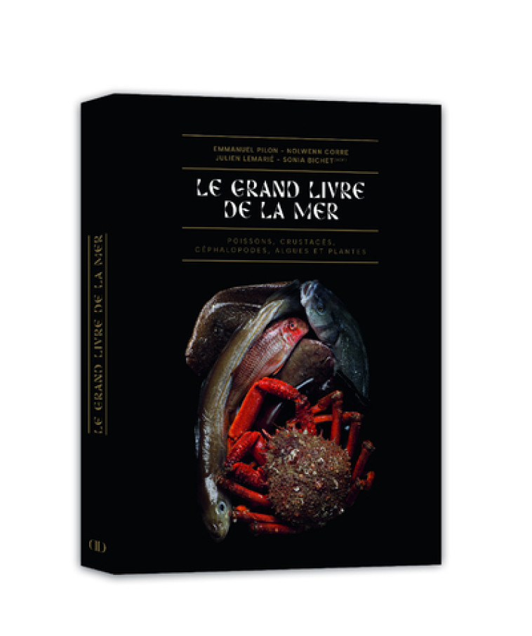 Le Grand Livre de la Mer - Sonia Bichet, Emmanuel Pilon, Nolwenn Corre, Julien Lemarié - DUCASSE EDITION