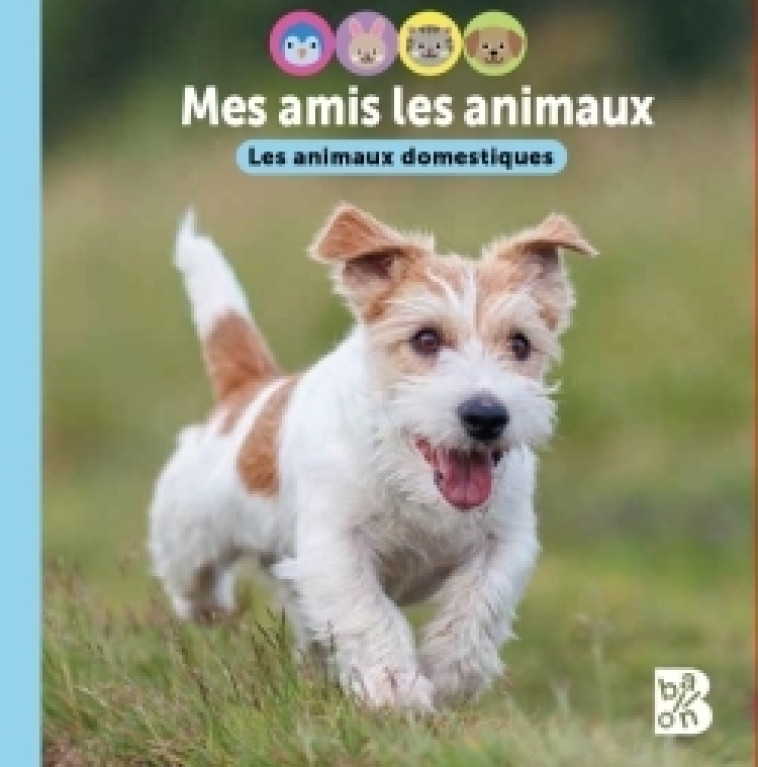 Les animaux domestiques - XXX - BALLON