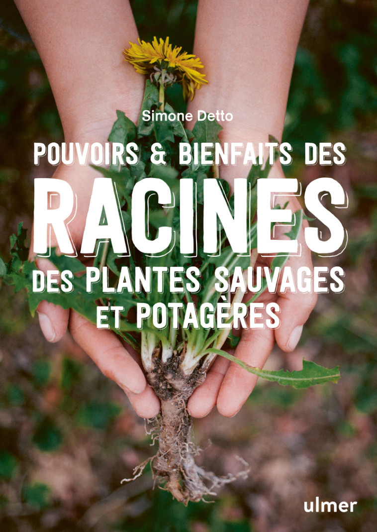 Pouvoirs & bienfaits des racines des plantes sauvages et potagères - Simone Detto - ULMER